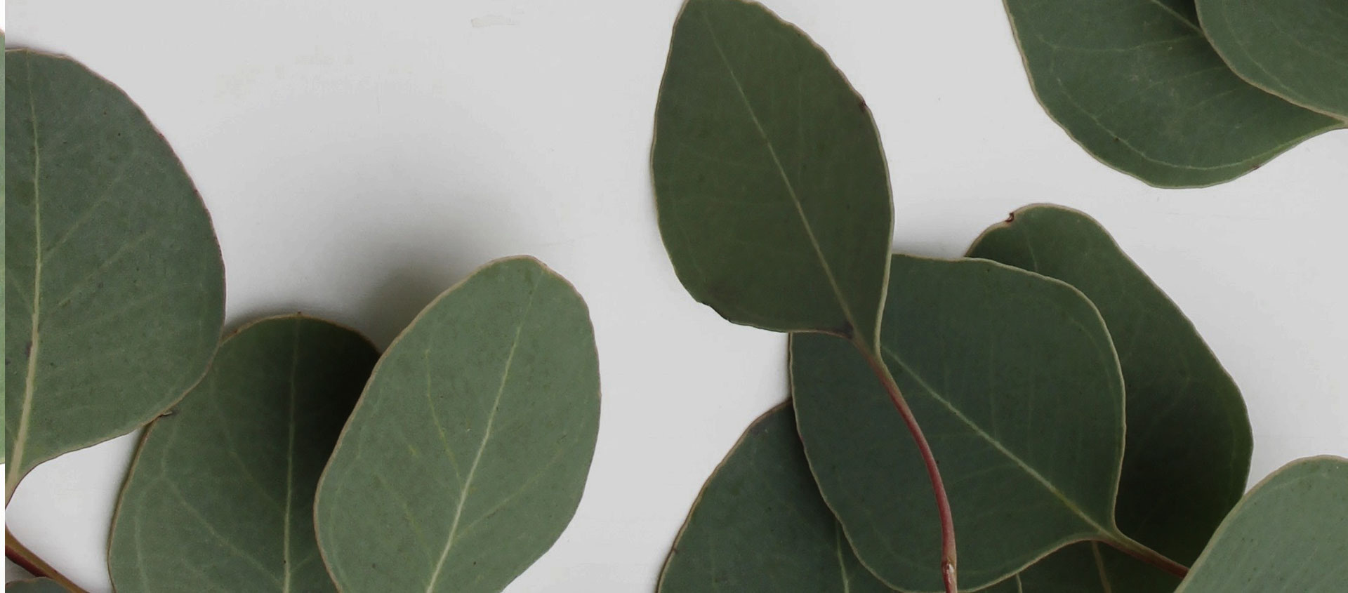 Взыскание ущерба от экологических правонарушений в Богородске