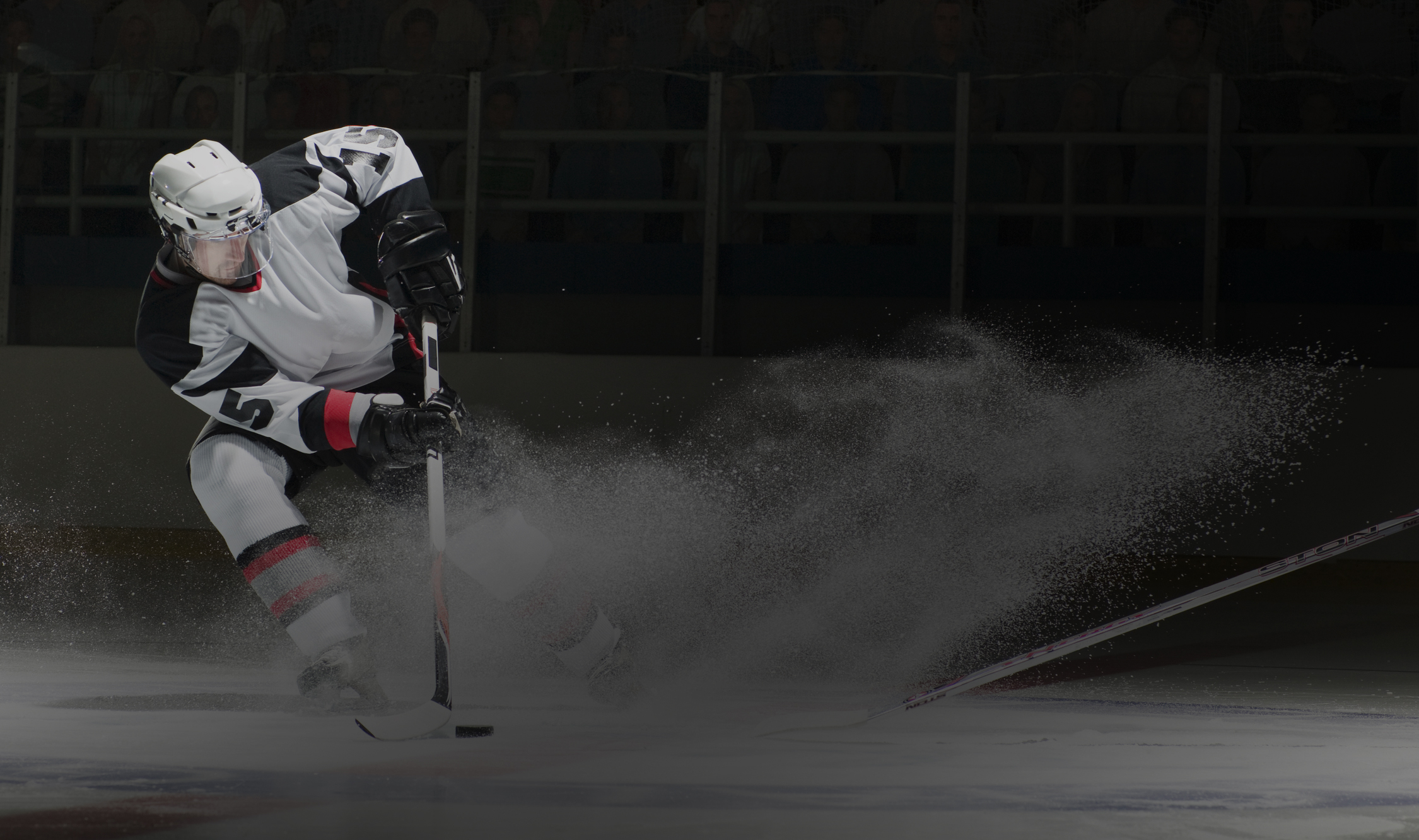 Услуги спортивного юриста в Богородске