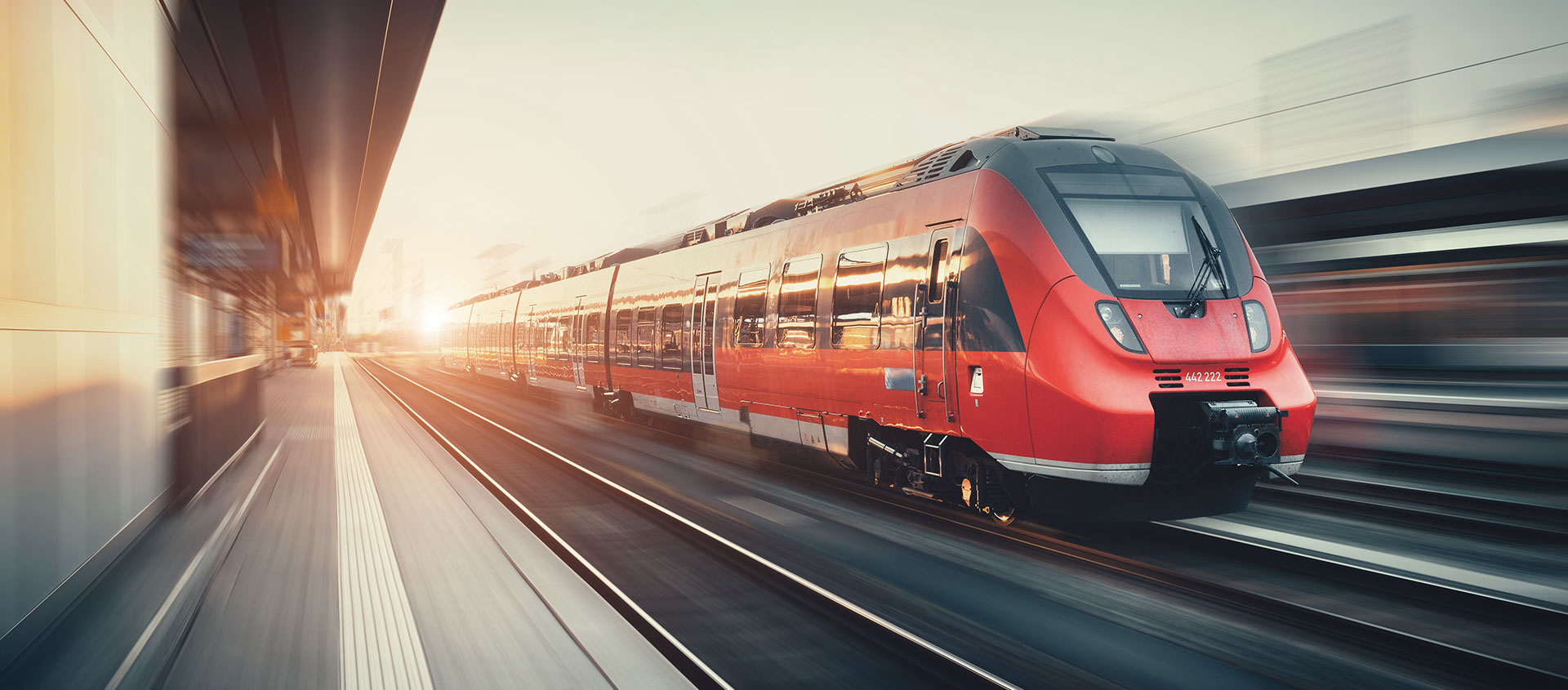 Услуги таможенного юриста в Богородске